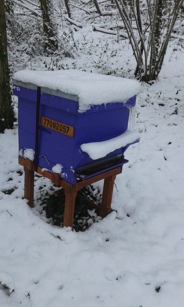 ruche, hiver, apiculture